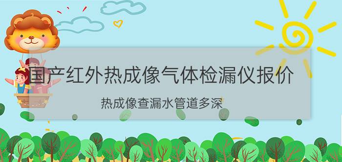 国产红外热成像气体检漏仪报价 热成像查漏水管道多深？